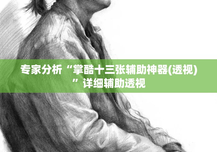 专家分析“掌酷十三张辅助神器(透视)”详细辅助透视