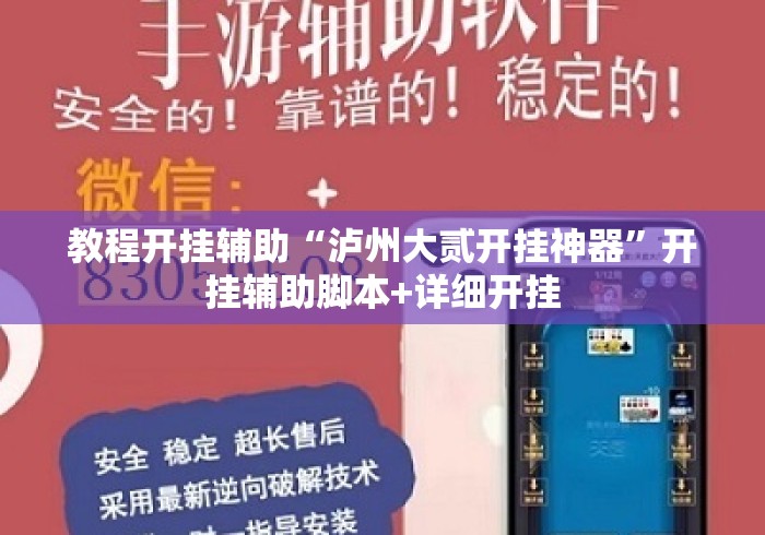 教程开挂辅助“泸州大贰开挂神器”开挂辅助脚本+详细开挂