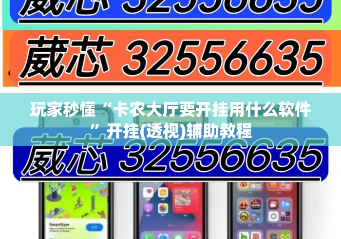 玩家秒懂“卡农大厅要开挂用什么软件”开挂(透视)辅助教程