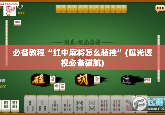 必备教程“红中麻将怎么装挂	”(曝光透视必备猫腻)
