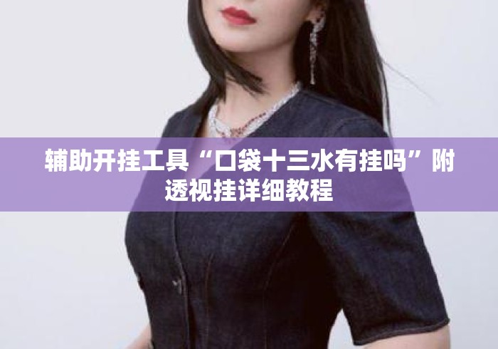 辅助开挂工具“口袋十三水有挂吗”附透视挂详细教程