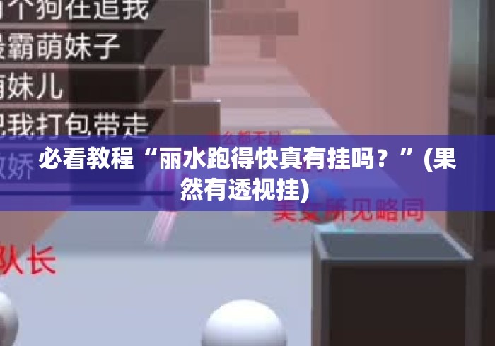 必看教程“丽水跑得快真有挂吗？”(果然有透视挂) 