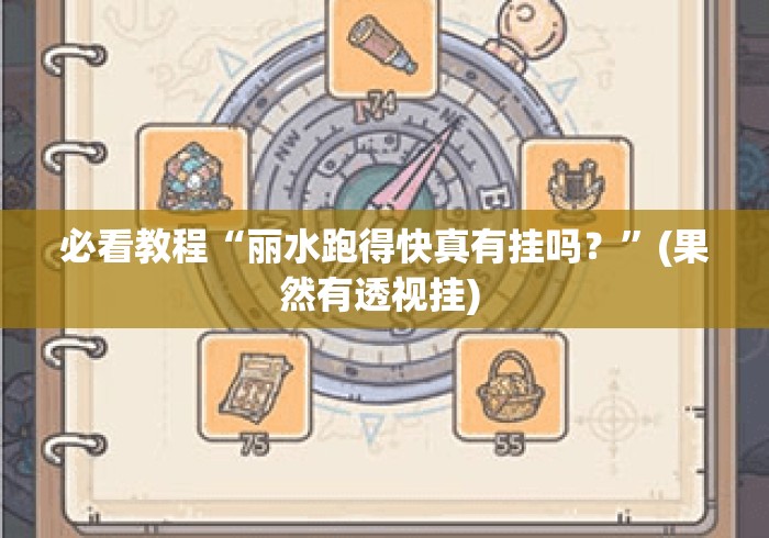 必看教程“丽水跑得快真有挂吗？	”(果然有透视挂) 