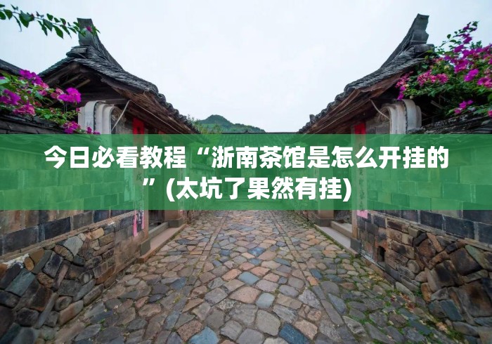 今日必看教程“浙南茶馆是怎么开挂的	”(太坑了果然有挂)