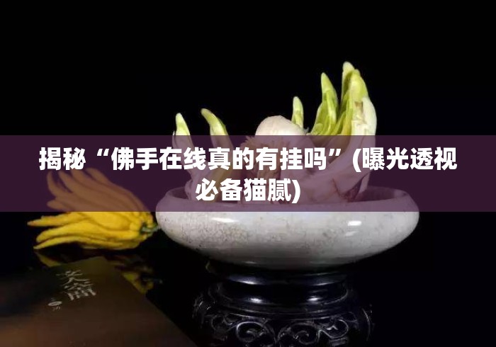 揭秘“佛手在线真的有挂吗	”(曝光透视必备猫腻)