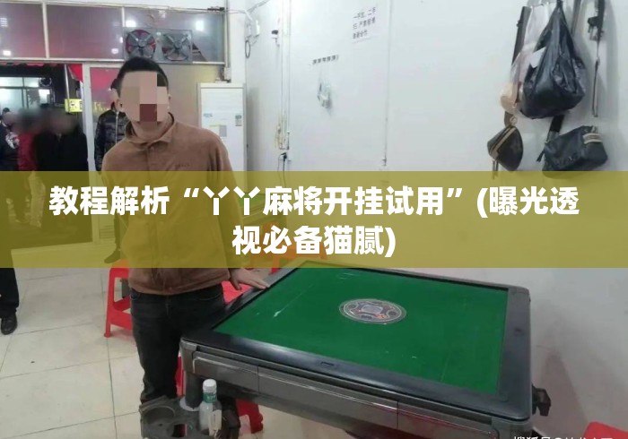 教程解析“丫丫麻将开挂试用”(曝光透视必备猫腻)