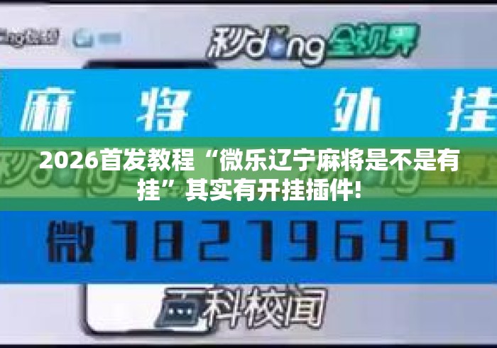 2026首发教程“微乐辽宁麻将是不是有挂	”其实有开挂插件!
