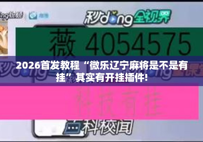 2026首发教程“微乐辽宁麻将是不是有挂”其实有开挂插件!