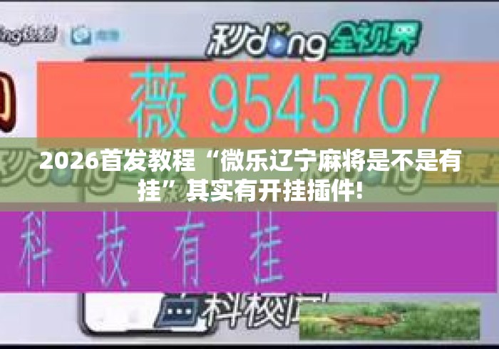 2026首发教程“微乐辽宁麻将是不是有挂	”其实有开挂插件!