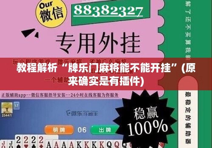 教程解析“牌乐门麻将能不能开挂”(原来确实是有插件)