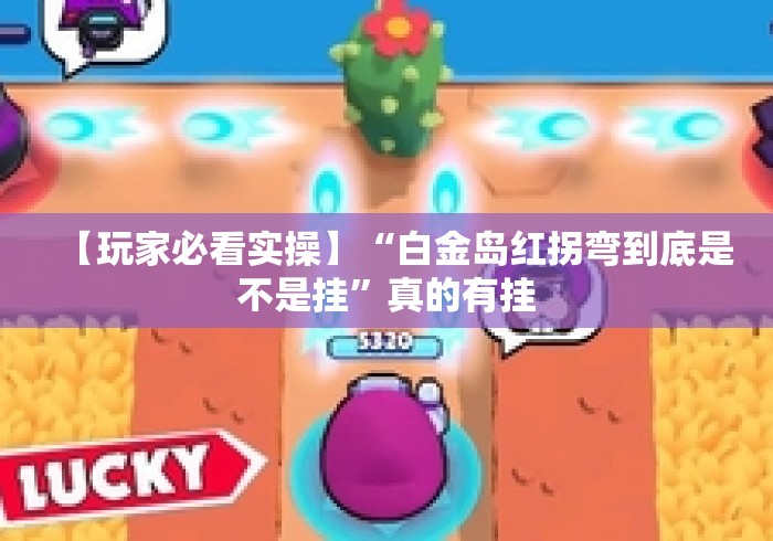【玩家必看实操】“白金岛红拐弯到底是不是挂”真的有挂