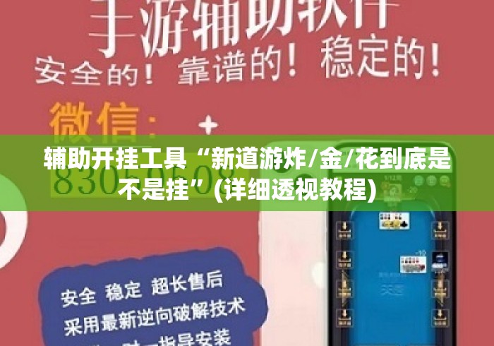 辅助开挂工具“新道游炸/金/花到底是不是挂	”(详细透视教程)
