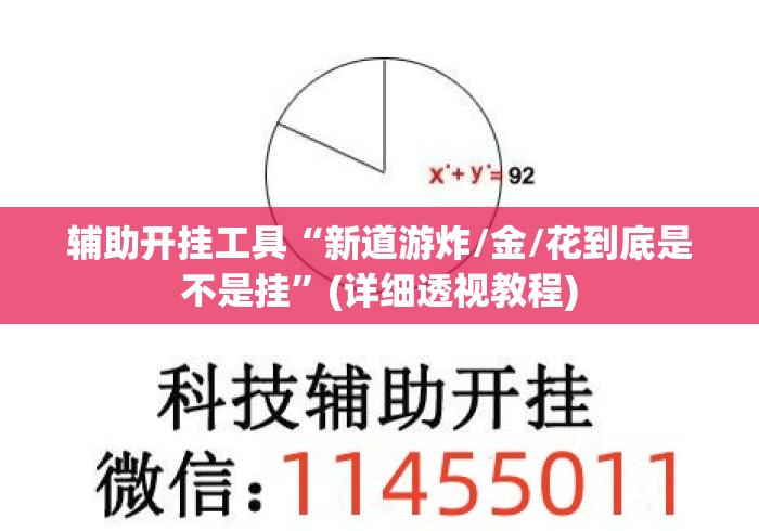 辅助开挂工具“新道游炸/金/花到底是不是挂”(详细透视教程)