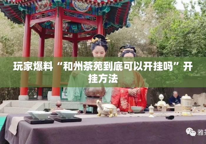 玩家爆料“和州茶苑到底可以开挂吗”开挂方法