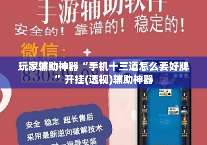 玩家辅助神器“手机十三道怎么要好牌”开挂(透视)辅助神器
