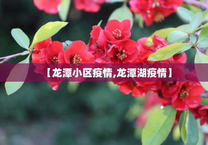 【龙潭小区疫情,龙潭湖疫情】 【龙潭小区疫情,龙潭湖疫情】