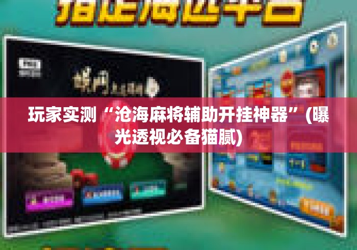 玩家实测“沧海麻将辅助开挂神器”(曝光透视必备猫腻)