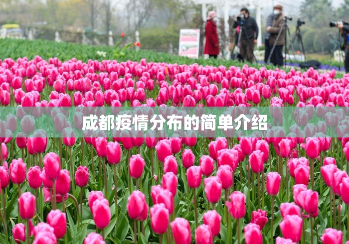 成都疫情分布的简单介绍 成都疫情分布的简单介绍