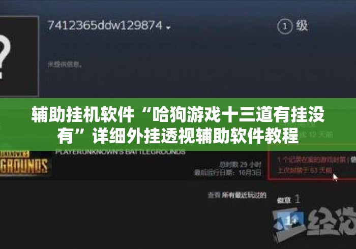 辅助挂机软件“哈狗游戏十三道有挂没有”详细外挂透视辅助软件教程