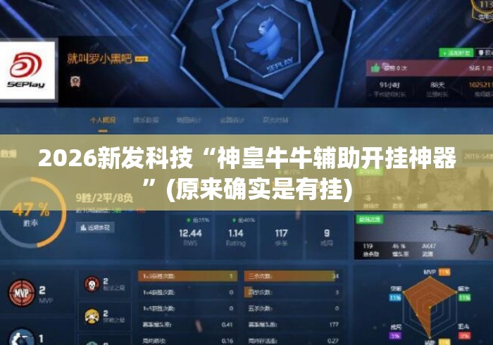 2026新发科技“神皇牛牛辅助开挂神器	”(原来确实是有挂)