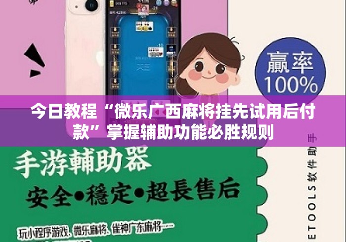 今日教程“微乐广西麻将挂先试用后付款”掌握辅助功能必胜规则