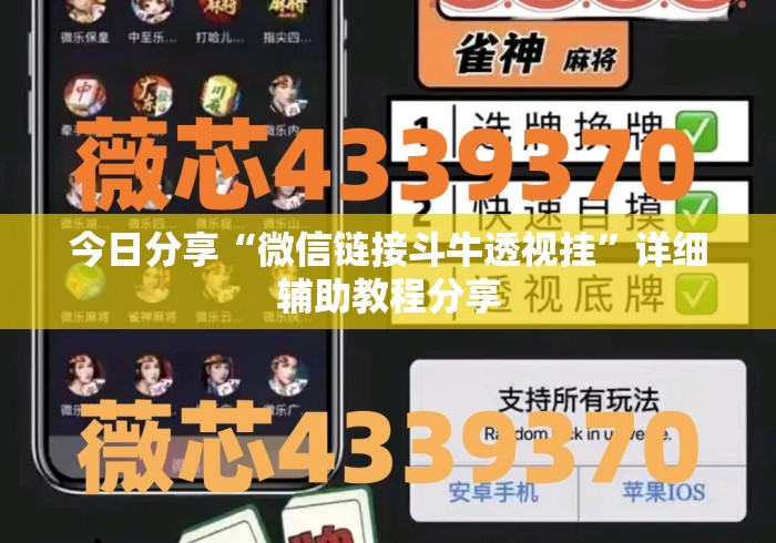 今日分享“微信链接斗牛透视挂”详细辅助教程分享