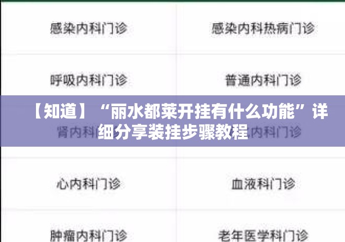 【知道】“丽水都莱开挂有什么功能	”详细分享装挂步骤教程