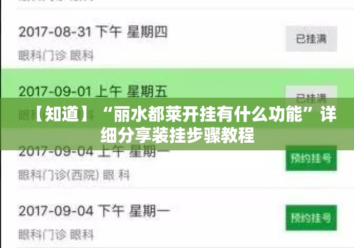 【知道】“丽水都莱开挂有什么功能”详细分享装挂步骤教程