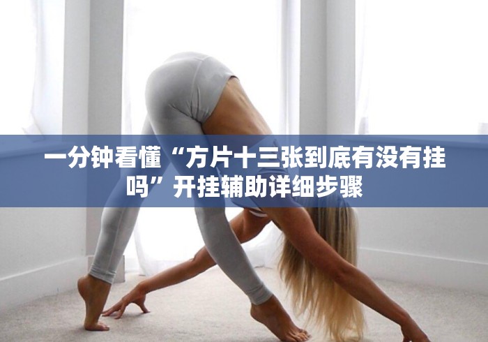 一分钟看懂“方片十三张到底有没有挂吗”开挂辅助详细步骤