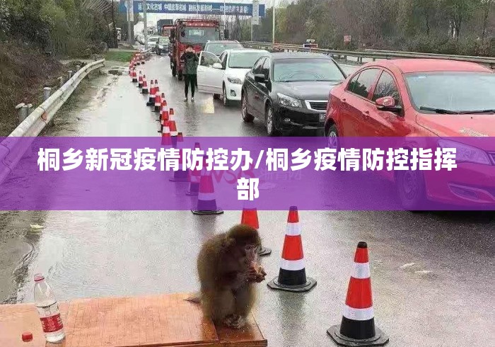 桐乡新冠疫情防控办/桐乡疫情防控指挥部 桐乡新冠疫情防控办/桐乡疫情防控指挥部