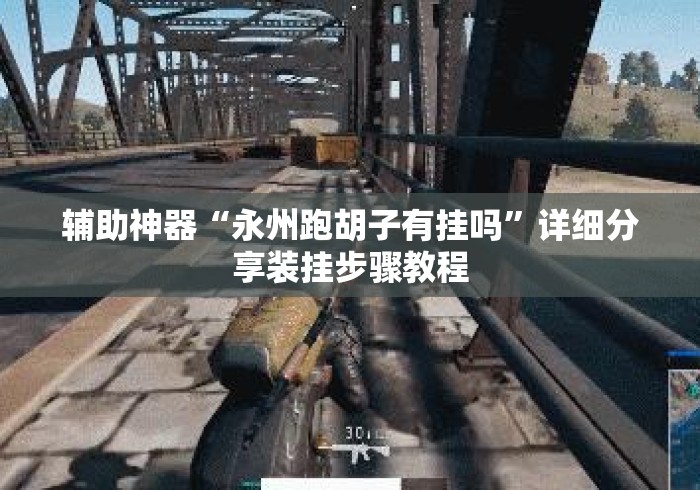 辅助神器“永州跑胡子有挂吗”详细分享装挂步骤教程