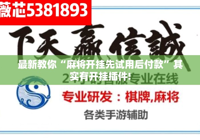 最新教你“麻将开挂先试用后付款”其实有开挂插件!