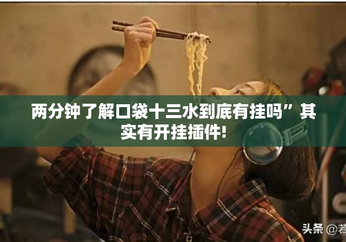 两分钟了解口袋十三水到底有挂吗	”其实有开挂插件!