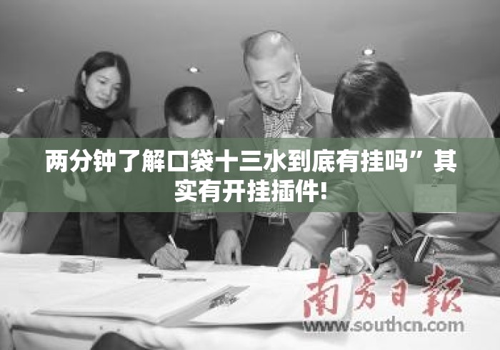 两分钟了解口袋十三水到底有挂吗”其实有开挂插件!