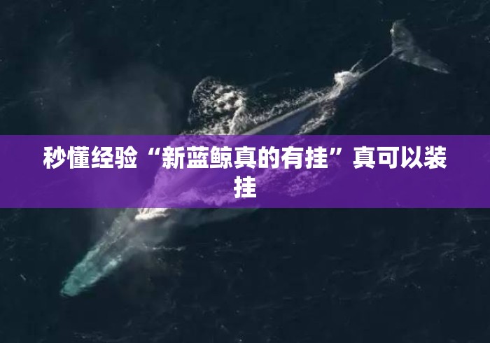 秒懂经验“新蓝鲸真的有挂”真可以装挂