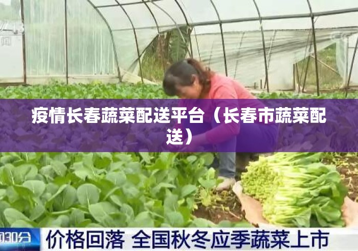 疫情长春蔬菜配送平台(长春市蔬菜配送) 疫情长春蔬菜配送平台(长春市蔬菜配送)