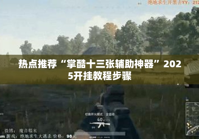 热点推荐“掌酷十三张辅助神器”2025开挂教程步骤