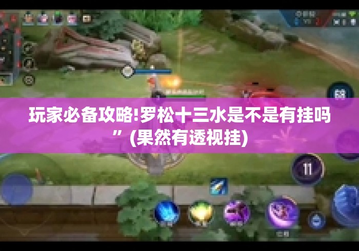 玩家必备攻略!罗松十三水是不是有挂吗”(果然有透视挂)