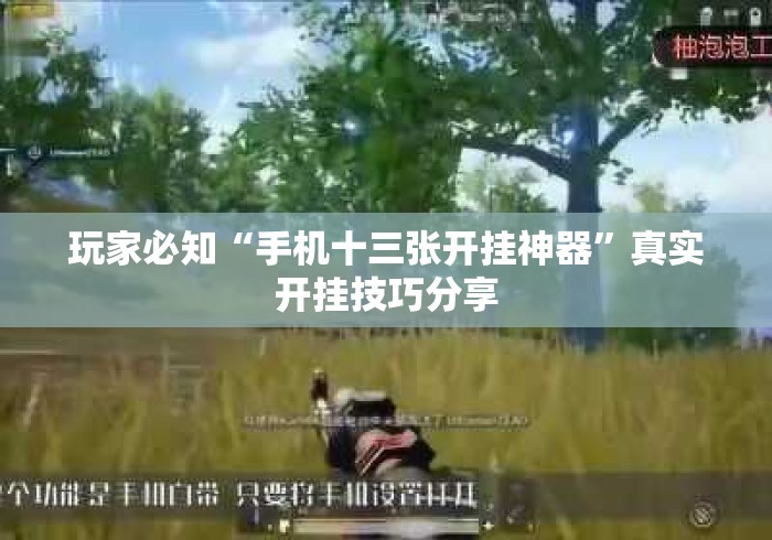 玩家必知“手机十三张开挂神器”真实开挂技巧分享
