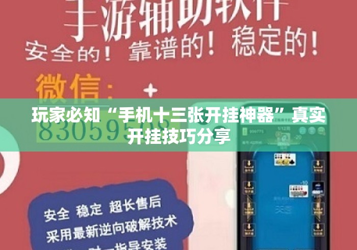 玩家必知“手机十三张开挂神器”真实开挂技巧分享