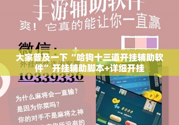 大家普及一下“哈狗十三道开挂辅助软件”开挂辅助脚本+详细开挂