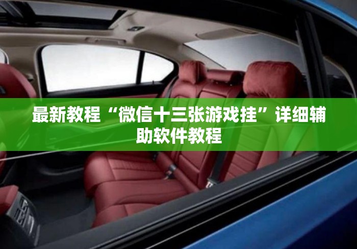 最新教程“微信十三张游戏挂	”详细辅助软件教程