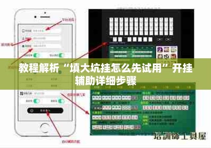 教程解析“填大坑挂怎么先试用”开挂辅助详细步骤