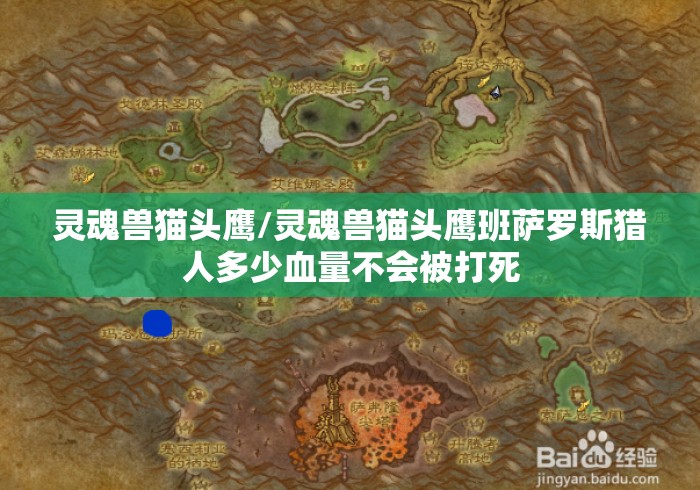 灵魂兽猫头鹰/灵魂兽猫头鹰班萨罗斯猎人多少血量不会被打死