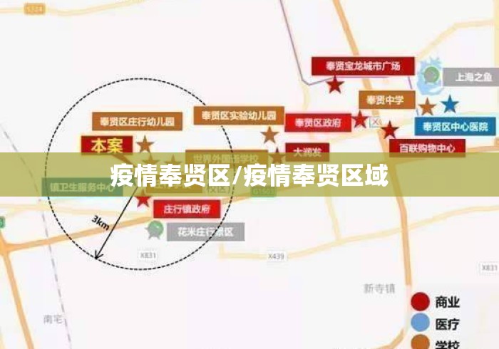 疫情奉贤区/疫情奉贤区域