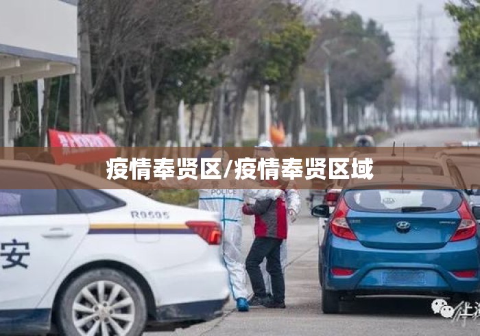 疫情奉贤区/疫情奉贤区域