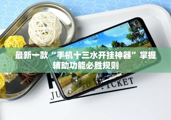 最新一款“手机十三水开挂神器	”掌握辅助功能必胜规则