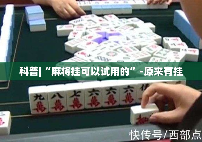 科普|“麻将挂可以试用的”-原来有挂