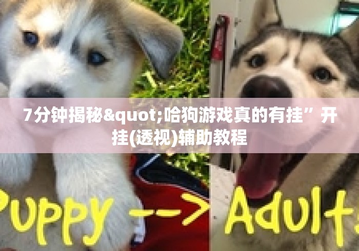 7分钟揭秘"哈狗游戏真的有挂”开挂(透视)辅助教程