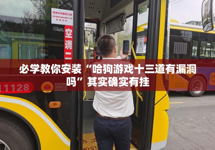 必学教你安装“哈狗游戏十三道有漏洞吗”其实确实有挂